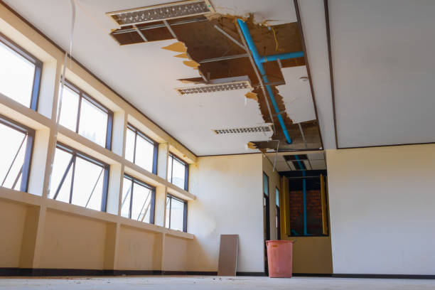 Best Water damage contractors near me  in El Jon, CA