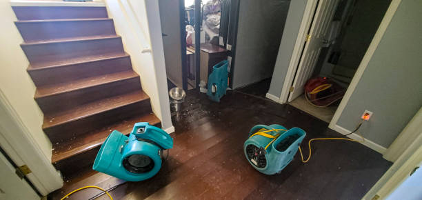 Best Ceiling water damage repair  in El Jon, CA
