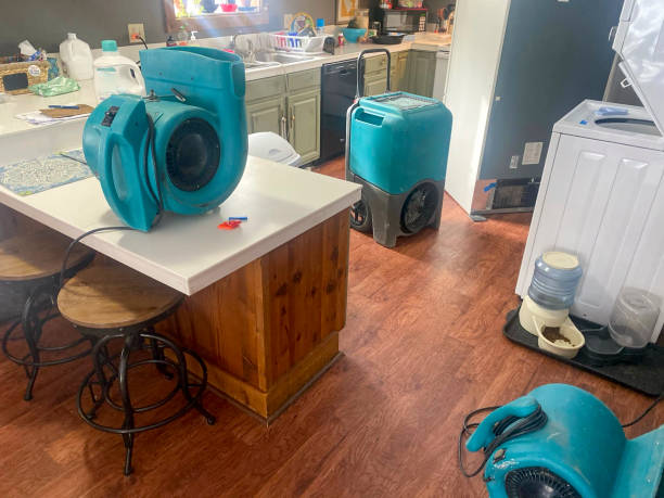 Best Water damage restoration near me  in El Jon, CA