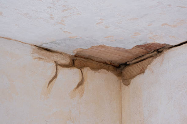 Best Fire Damage Restoration  in El Jon, CA
