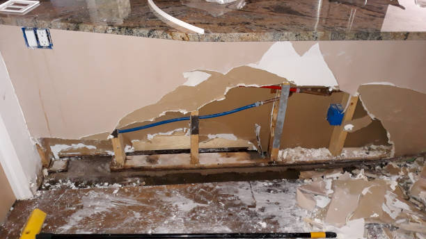 Best Water damage restoration process  in El Jon, CA