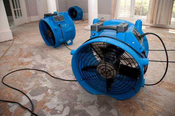 Best Water damage restoration experts  in El Jon, CA