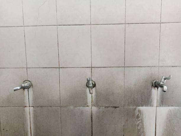 Best Basement water damage restoration  in El Jon, CA