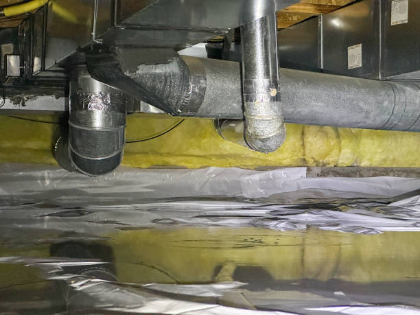 Best Flood damage cleanup  in El Jon, CA