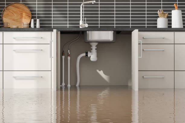 Best Emergency water damage restoration  in El Jon, CA