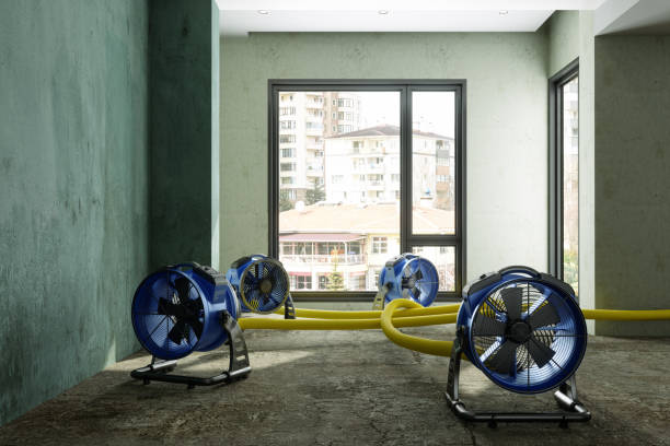 Best Water damage restoration specialists  in El Jon, CA