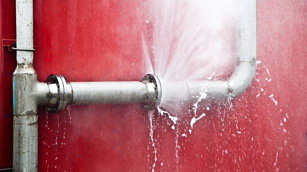 Best Flooded house restoration  in El Jon, CA