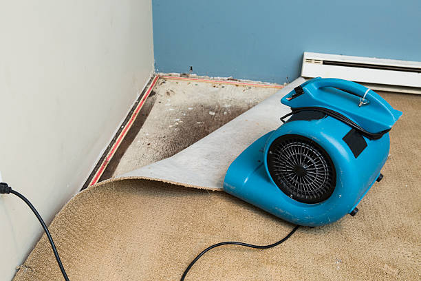 Best Commercial water damage restoration  in El Jon, CA