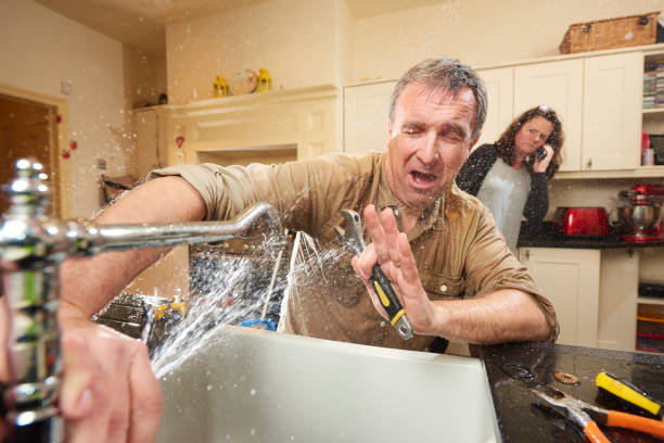 Best Flood restoration services  in El Jon, CA
